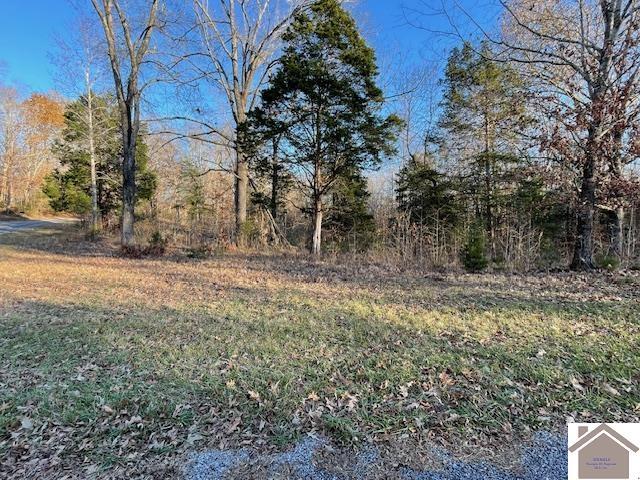 1-6 14-16 Pines Cir, Cadiz, KY 42211