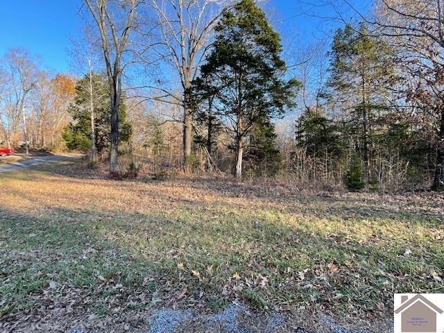 1-6 14-16 Pines Cir, Cadiz, KY 42211