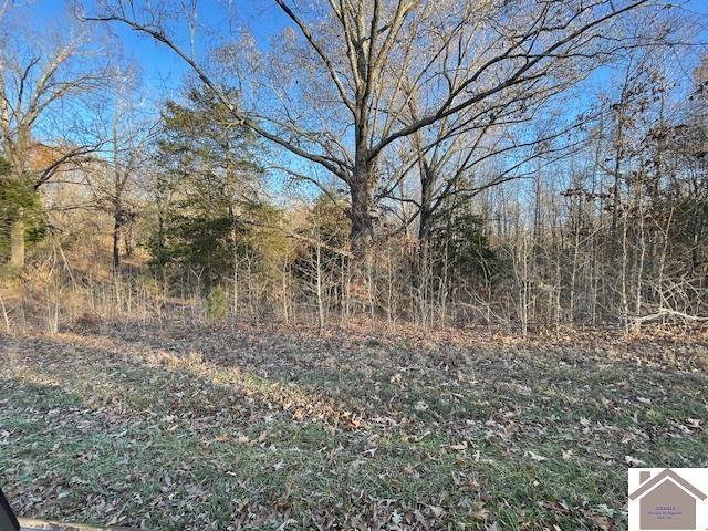 1-6 14-16 Pines Cir, Cadiz, KY 42211