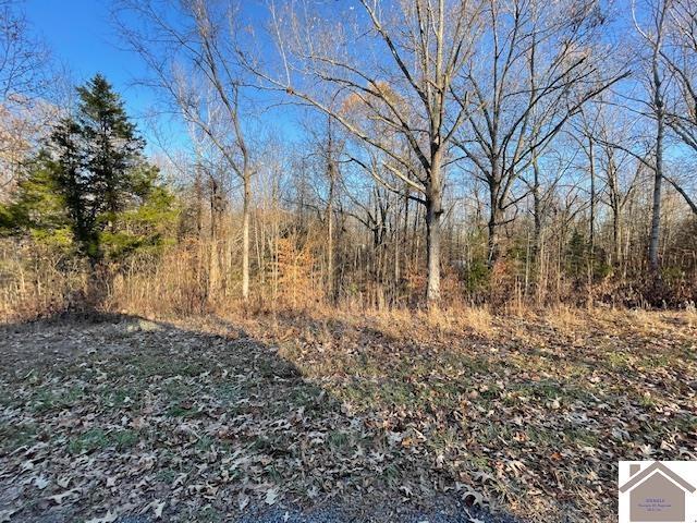 1-6 14-16 Pines Cir, Cadiz, KY 42211