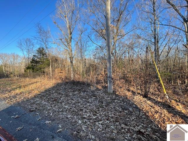 1-6 14-16 Pines Cir, Cadiz, KY 42211