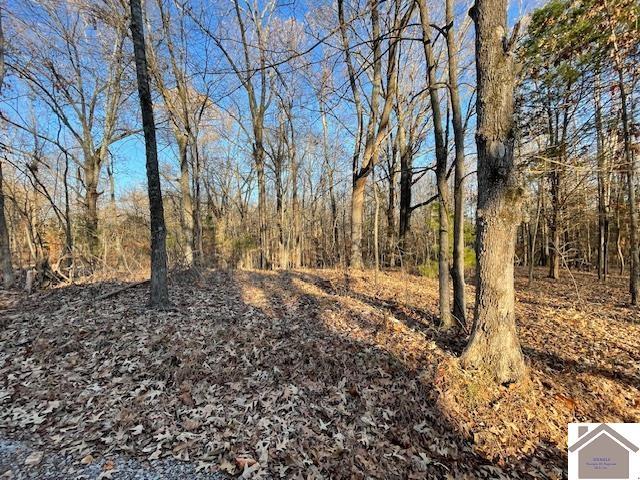 1-6 14-16 Pines Cir, Cadiz, KY 42211