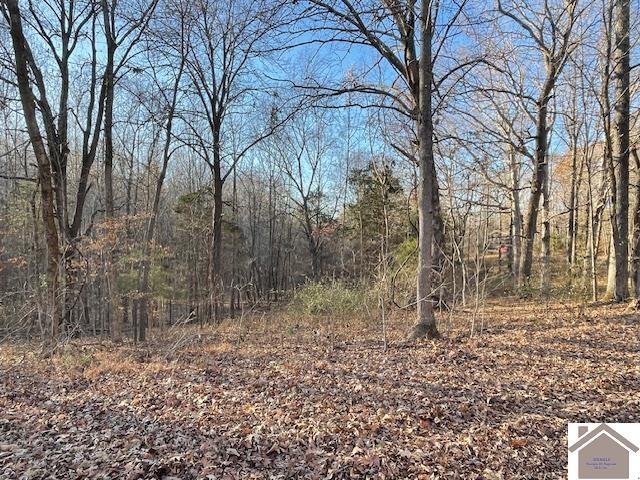 1-6 14-16 Pines Cir, Cadiz, KY 42211