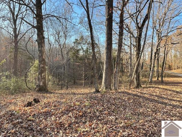 1-6 14-16 Pines Cir, Cadiz, KY 42211