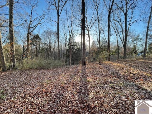 1-6 14-16 Pines Cir, Cadiz, KY 42211