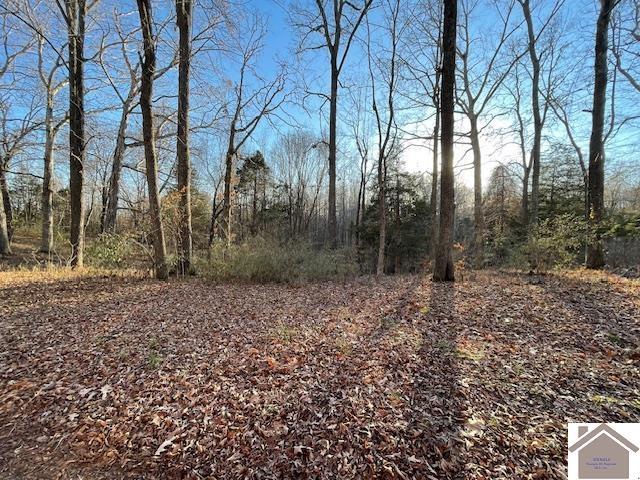 1-6 14-16 Pines Cir, Cadiz, KY 42211