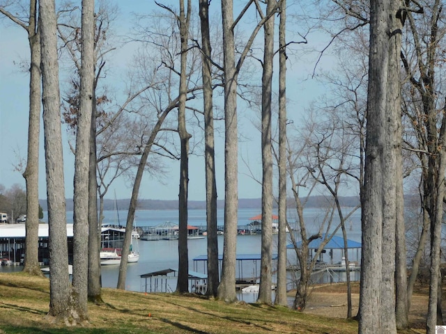 property view of water with a dock