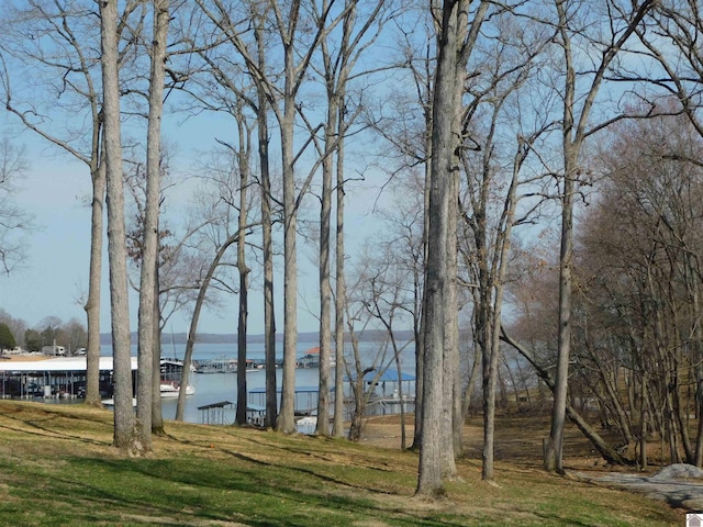 view of water feature