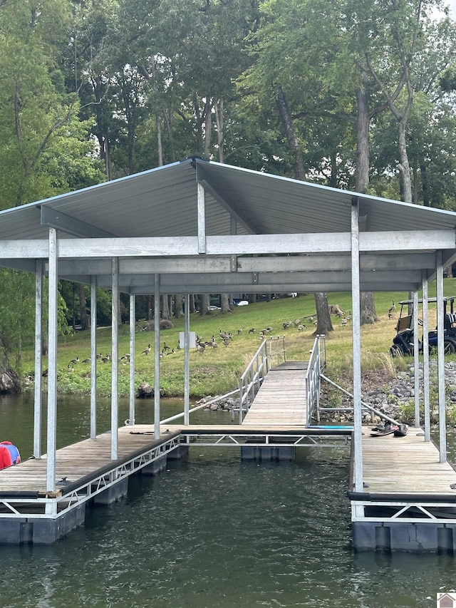 dock area with a water view