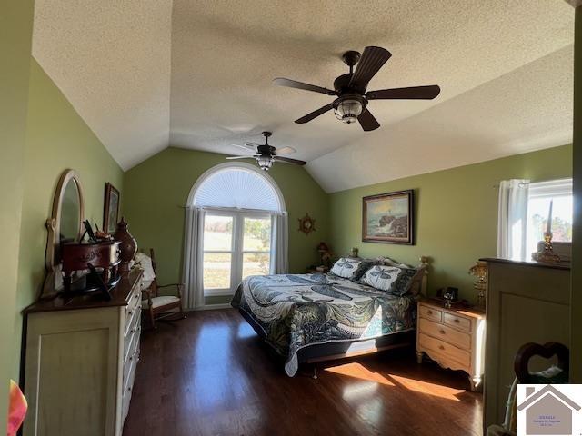 bedroom featuring multiple windows, a textured ceiling, lofted ceiling, and dark wood-style flooring