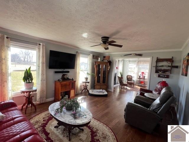 living room featuring wood finished floors, crown molding, a healthy amount of sunlight, and a textured ceiling