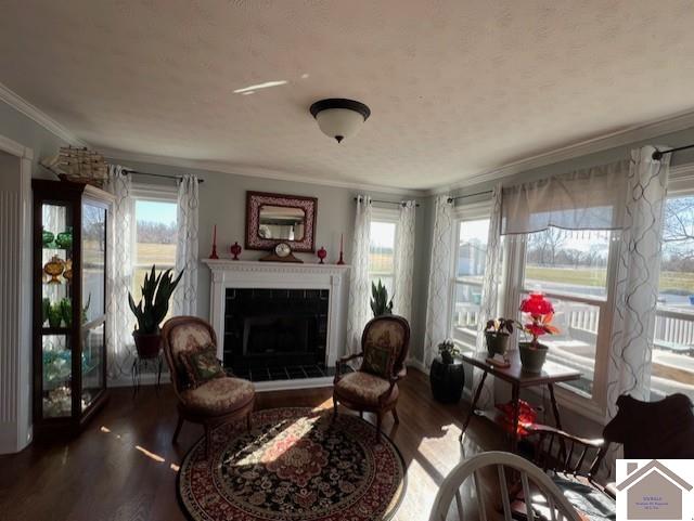 living area featuring plenty of natural light, wood finished floors, and a tiled fireplace