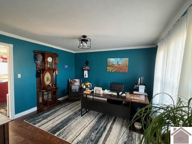 home office with wood finished floors, baseboards, and ornamental molding