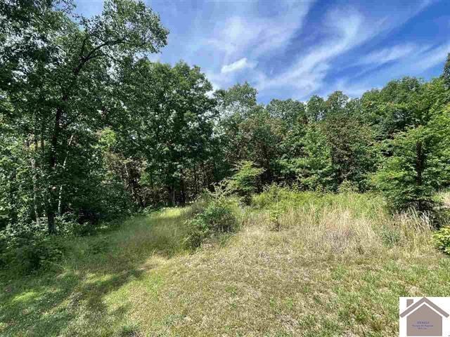 00 Dock Drr, Murray KY, 42071 land for sale