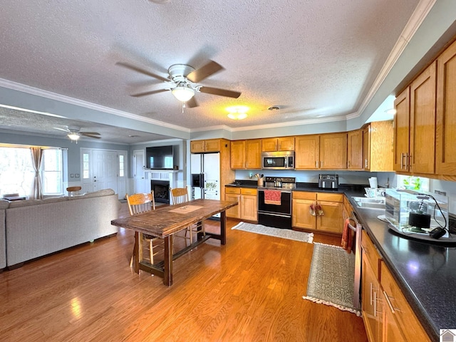 kitchen with ceiling fan, light wood-style floors, open floor plan, and stainless steel appliances