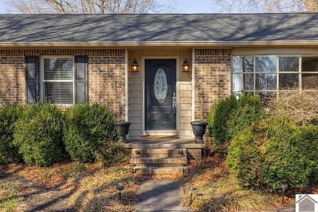 doorway to property featuring brick siding and roof with shingles