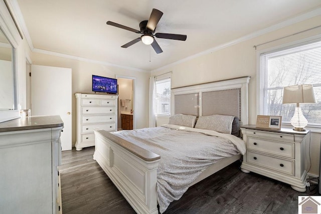 bedroom with connected bathroom, ceiling fan, dark wood-style flooring, and crown molding