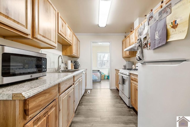 kitchen featuring white appliances, ornamental molding, a sink, light countertops, and under cabinet range hood