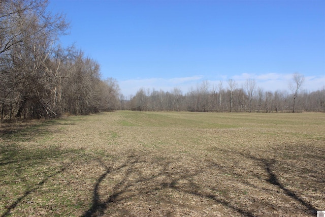 view of nature featuring a wooded view