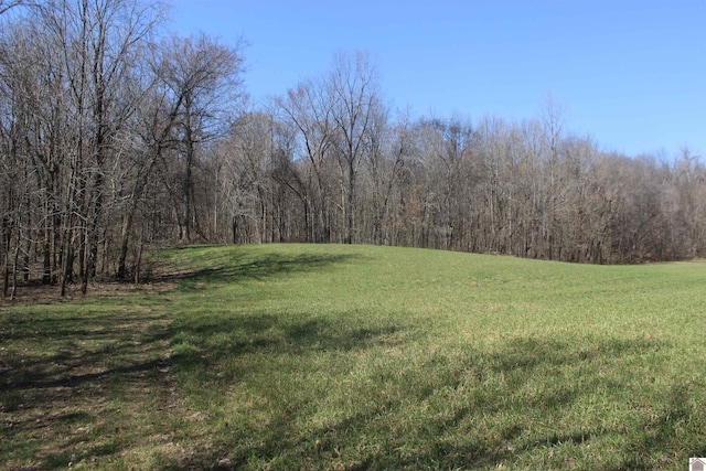 view of yard with a forest view