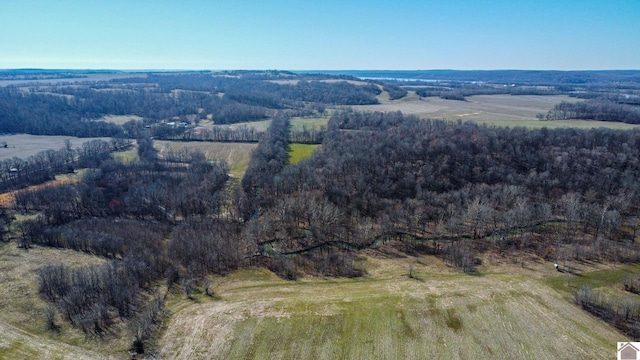 bird's eye view with a rural view