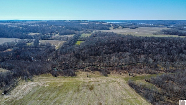 drone / aerial view with a rural view