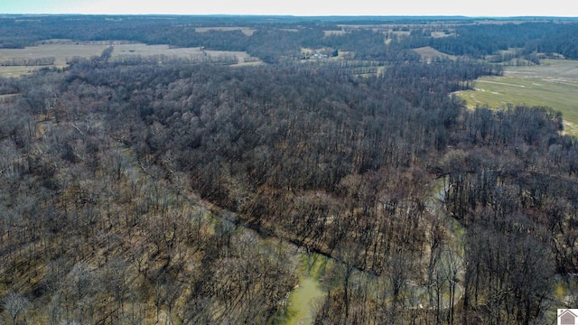 aerial view with a forest view