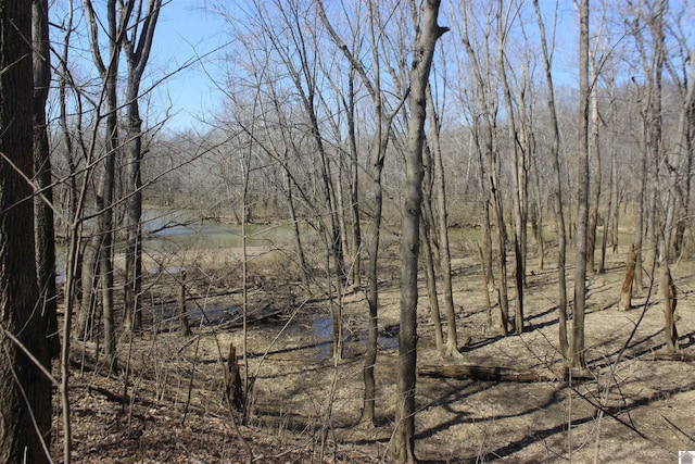 view of nature with a forest view and a water view