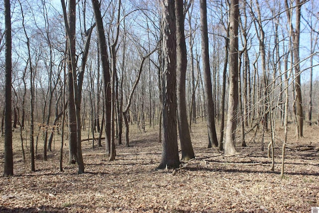 view of landscape