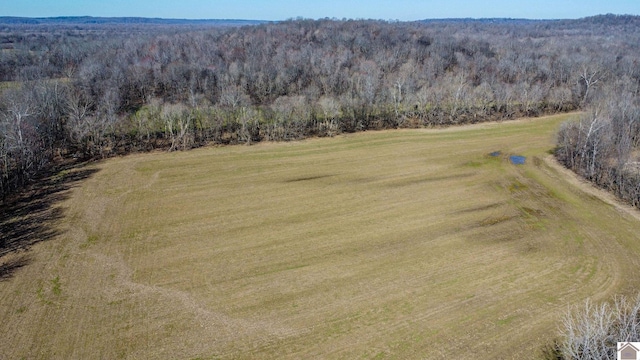 drone / aerial view with a forest view