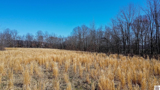 view of nature featuring a view of trees