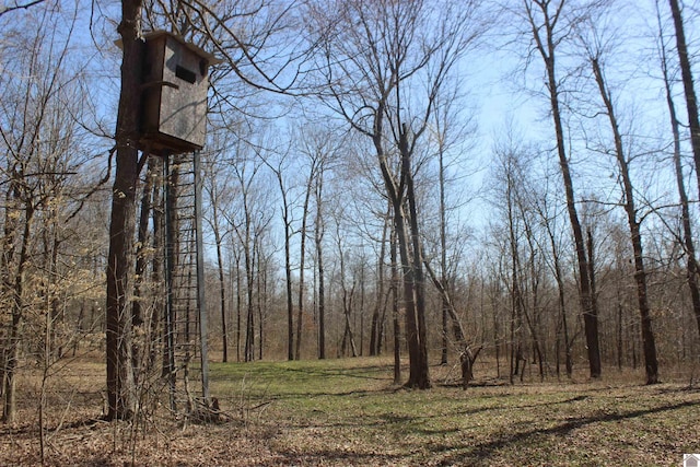 view of local wilderness with a view of trees