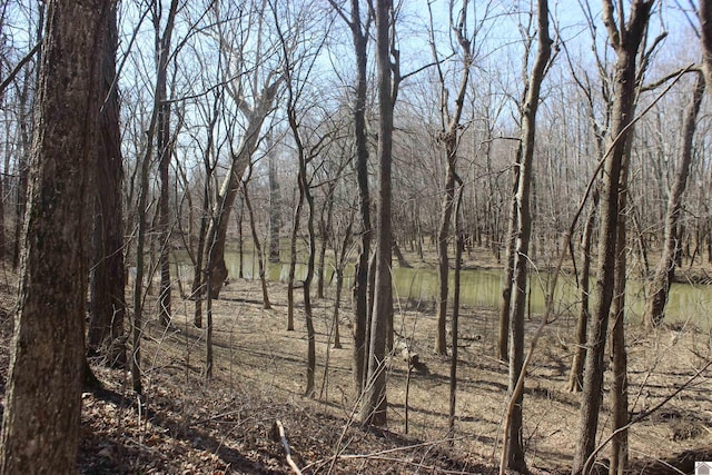 view of local wilderness featuring a forest view