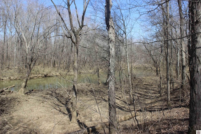 view of landscape featuring a forest view