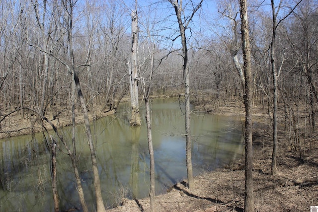 water view with a forest view