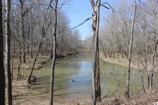 water view with a wooded view