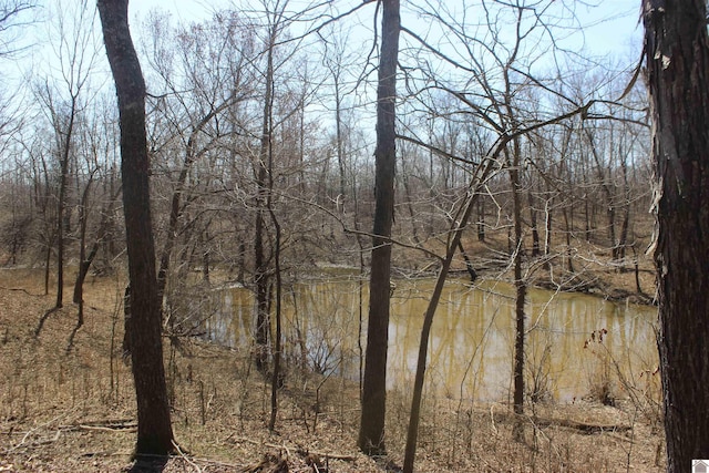 property view of water featuring a wooded view