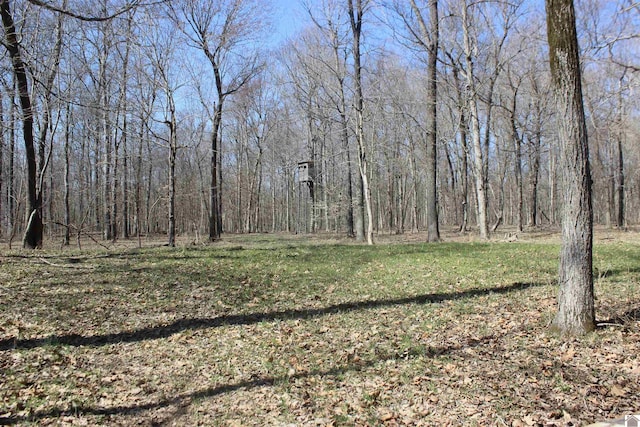 view of local wilderness with a view of trees