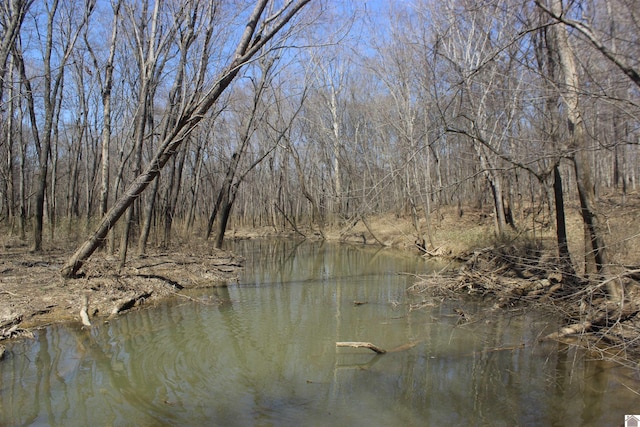 view of water feature with a view of trees