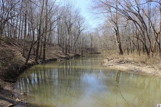 water view with a view of trees