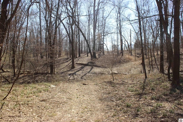 view of local wilderness