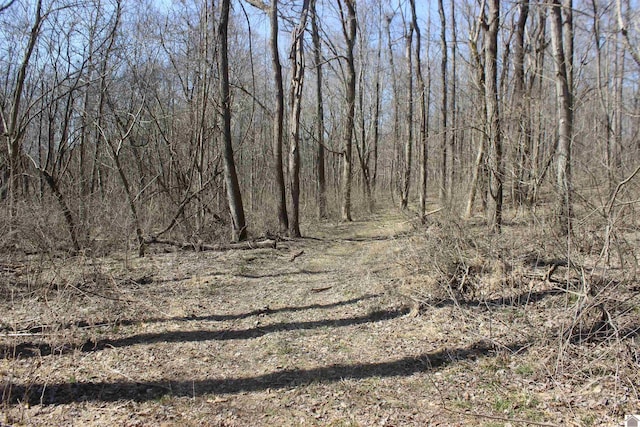 view of landscape with a wooded view