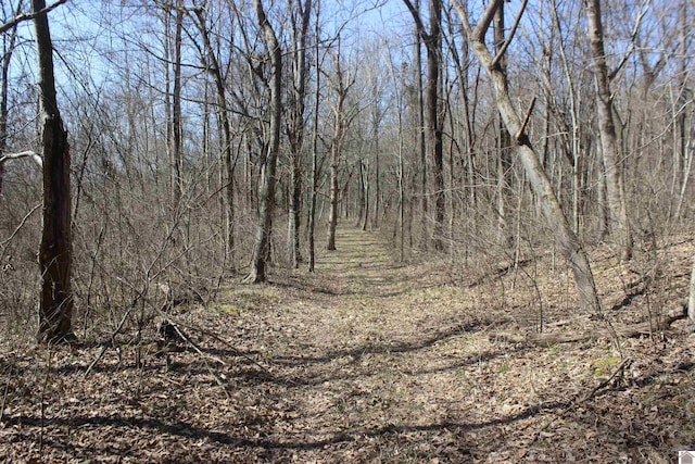 view of nature featuring a view of trees