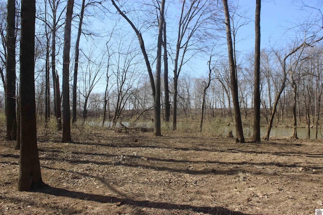 view of local wilderness