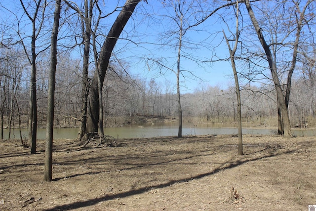 view of yard featuring a view of trees and a water view