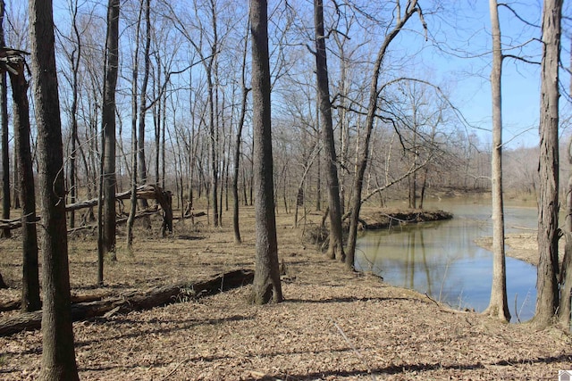 property view of water featuring a forest view