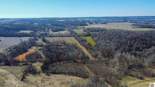 birds eye view of property featuring a rural view and a forest view