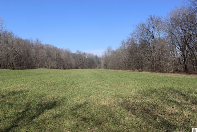 view of yard featuring a view of trees