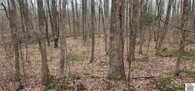 LOT422 Kurtz Dr, Murray, KY 42071