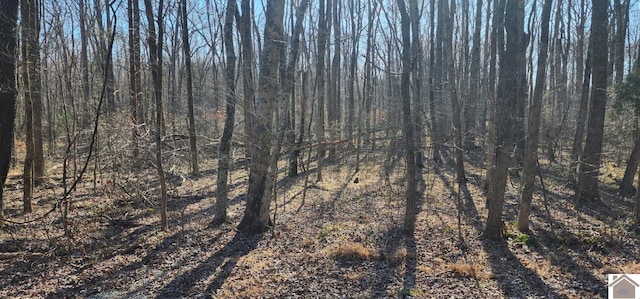 LOT422 Kurtz Dr, Murray, KY 42071